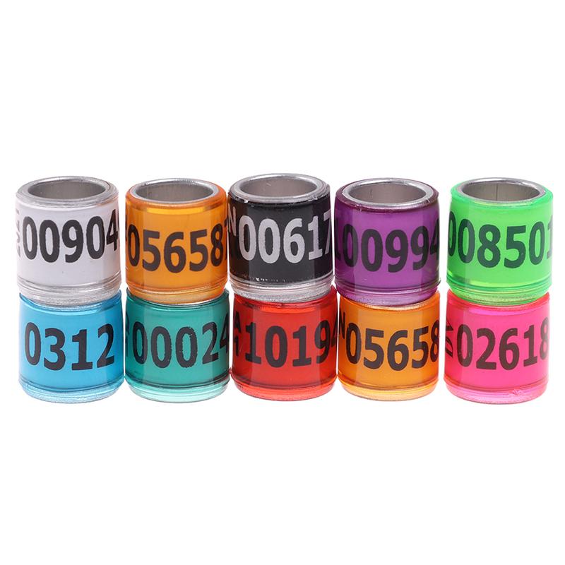 Product Introduction of 20 pcs Pigeon Foot Ring With Word Earrings 2023 Multicolor Bird Tools 14