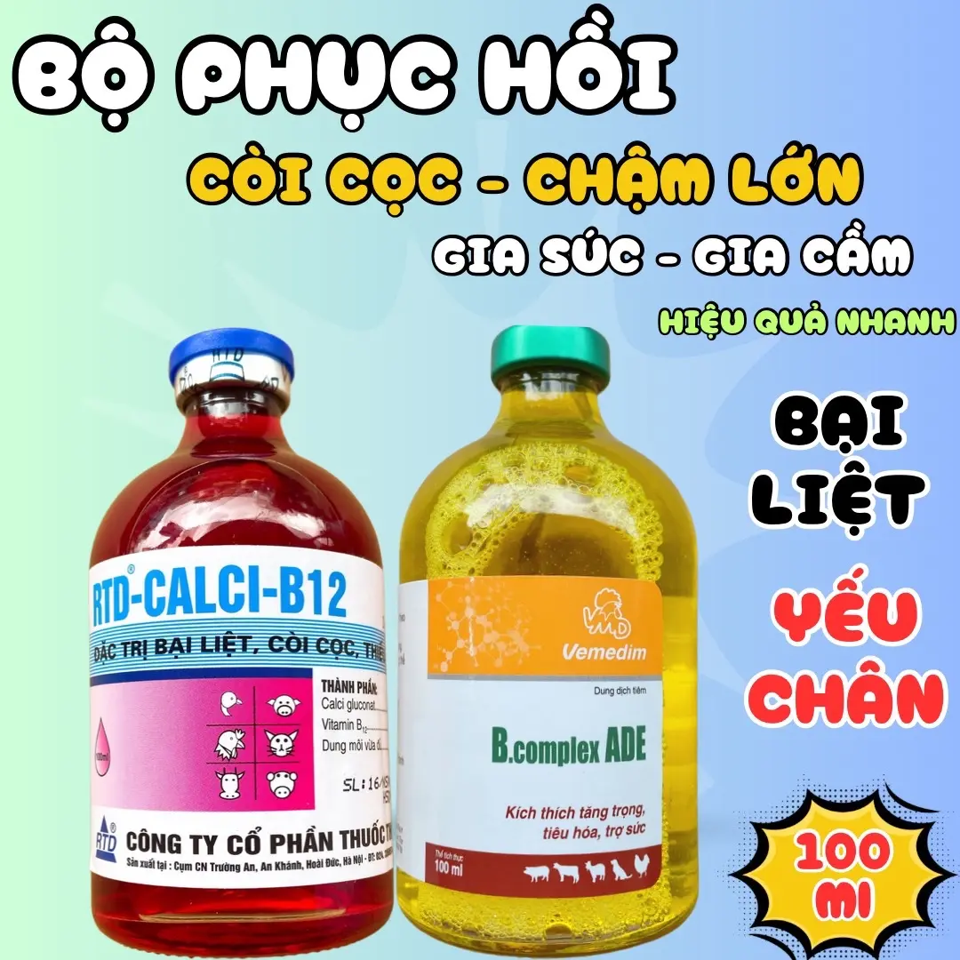 Bộ tiêm sung căng, lên tay, phục hồi, bổ máu, hừng gà Bcomplex ade và Calci B12 100ml