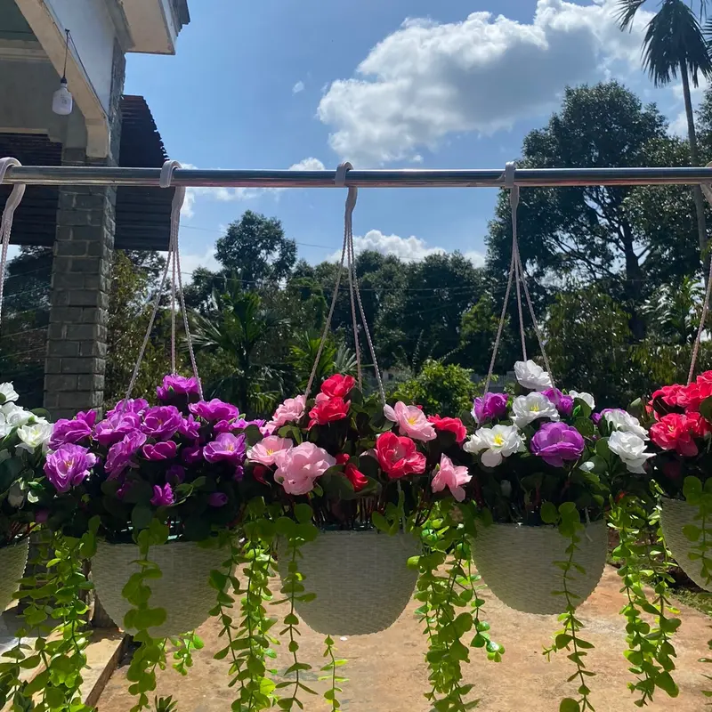 Combo chậu hoa đỗ quyên kèm chậu nhựa tròn cắm sẵn, mix lá rủ trang trí decor… Decor Phòng Trang Trí Nhà, ban công, lan can, quán cà phê, nhiều không gian xinh xắn hoặc phân khúc bình hoa đỗ quyên để bàn kèm chậu nhựa cắm sẵn cao 25-30cm 5