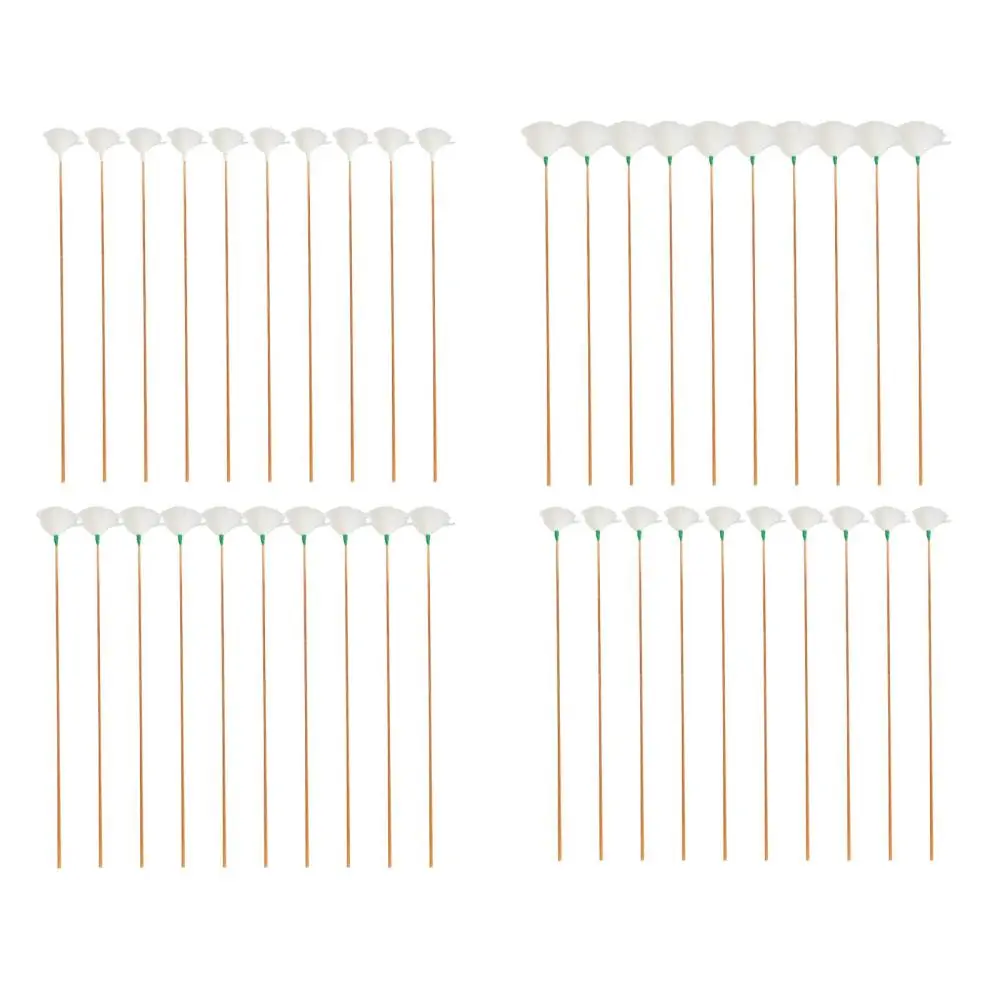 10 Pieces Goose Feather Earpicks Long Handle Soft Ear Dig Tools Earpicking