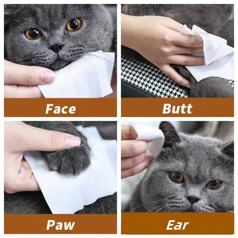 Fluffy Bunch    Hypoallergenic Pet Wipes for Dogs and Cats – Grooming and Odor Control Wipes for Paws, Body, and Rear 8