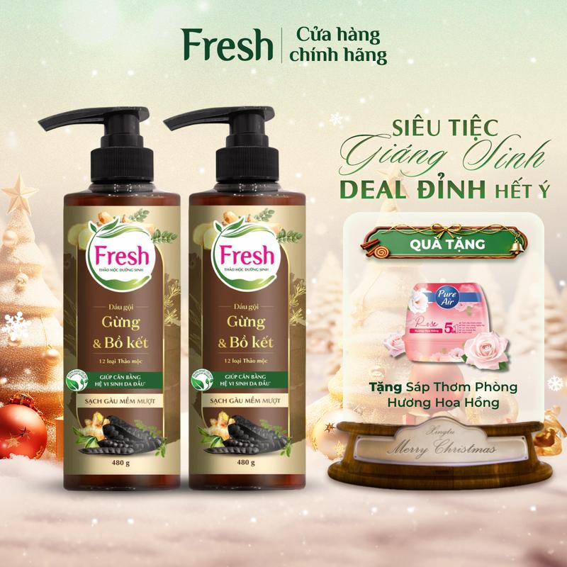 Combo 2 Dầu Gội FRESH Thảo Mộc Dưỡng Sinh Sạch Gàu Mềm Mượt Với Chiết Xuất Gừng Và Bồ Kết 480g chai