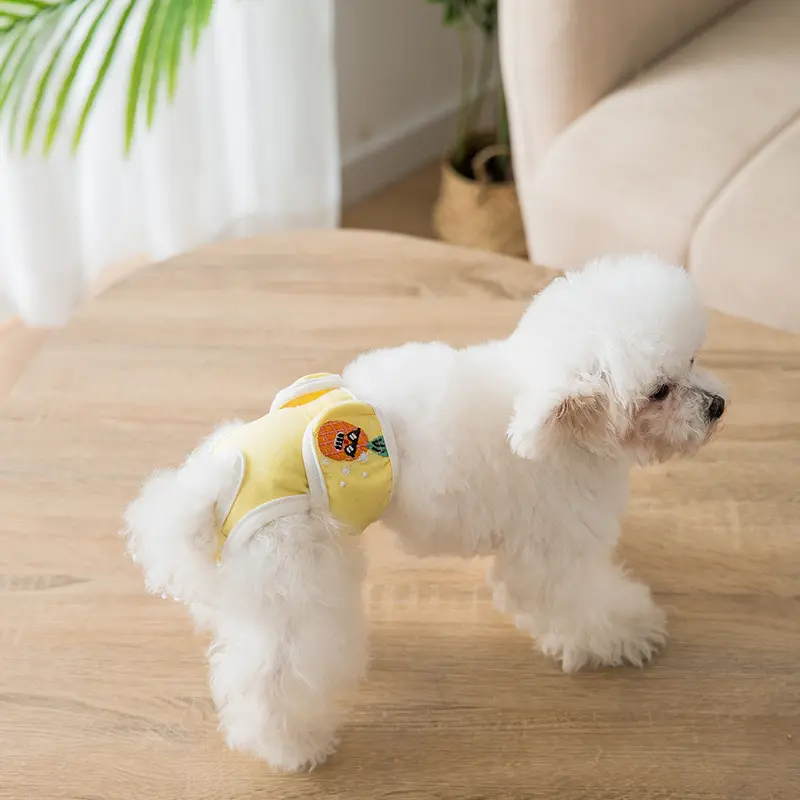 COMBO 2 Món Gồm Tã Lót Và Yếm Quần Sinh Lý Cho Chó Cái Quần Chip Chó Mèo Thú Cưng Ngày Rụng Dâu Giá Rẻ Hihapet. 5