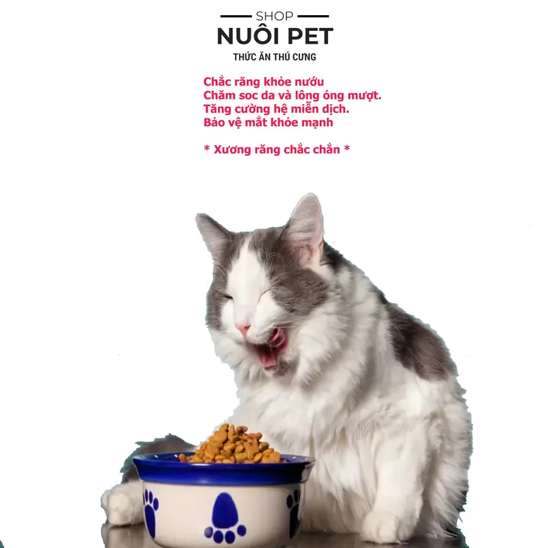 Combo 5 gói thức ăn hạt cho mèo Zoicat 1kg 3
