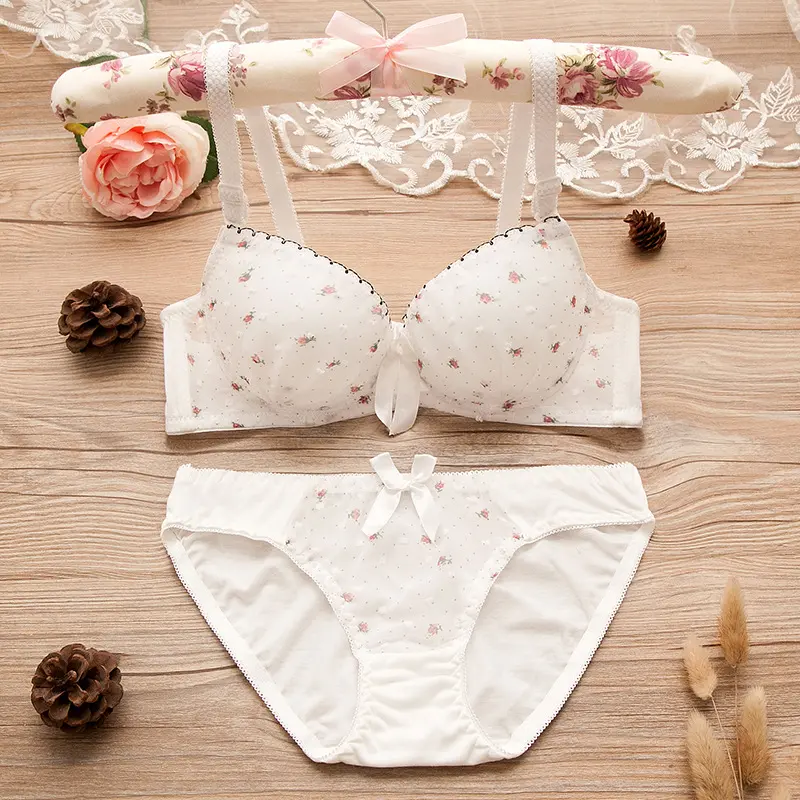 Floral Lace Student Bra Set