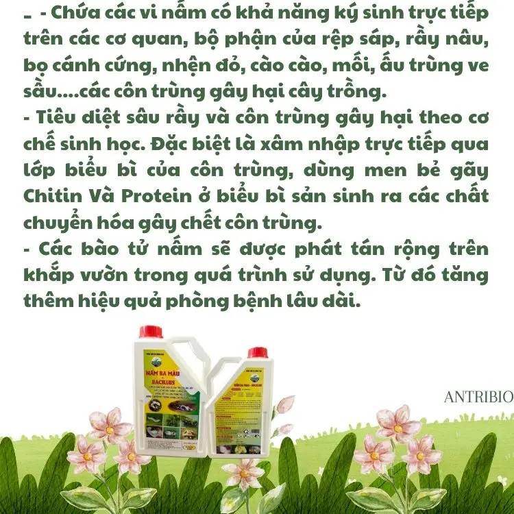 Phân bón sinh học NẤM 3 MÀU BACILLUS phòng ngừa Côn Trùng- Can 2 Lít 1