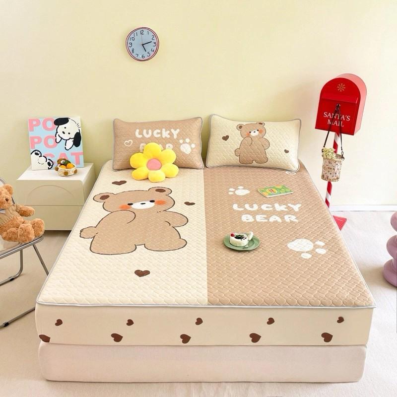 Product Introduction of Sét Chiếu Điều Hòa Cao Su Non 5D Teddy Bear Và Disney Phiên Bản 2024 Bọc Chun Mát Lạnh Có Đủ Size 1