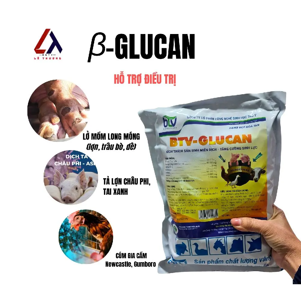 β Glucan Bột Hòa Tan Giúp Kích Thích Sản Sinh Miễn Dịch Tăng Cường Sinh Lực Cho Gia Súc Gia Cầm gà chọi