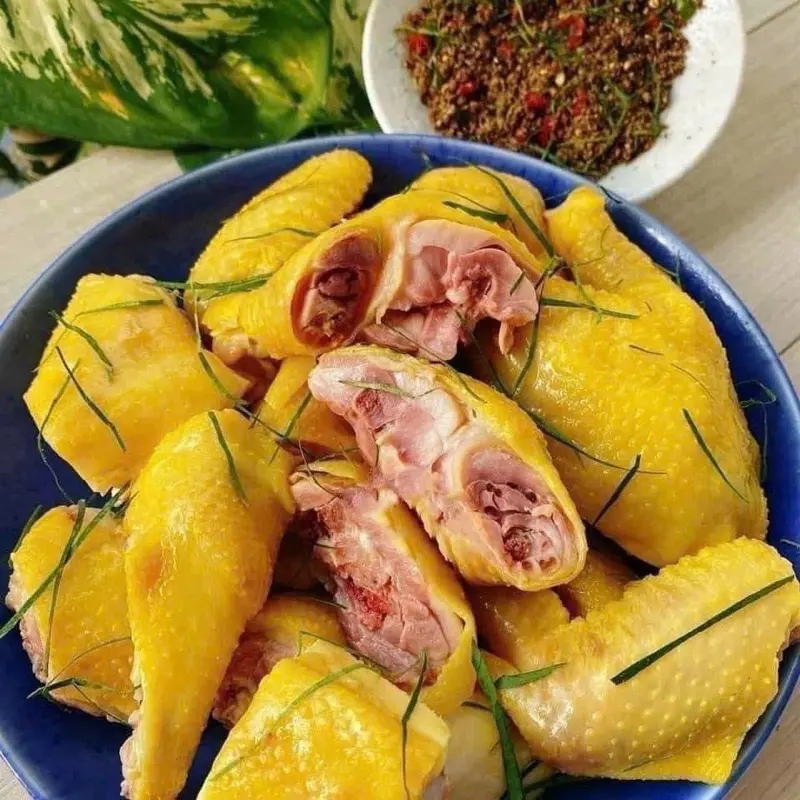 gà ủ muối ôm trứng non siêu dai