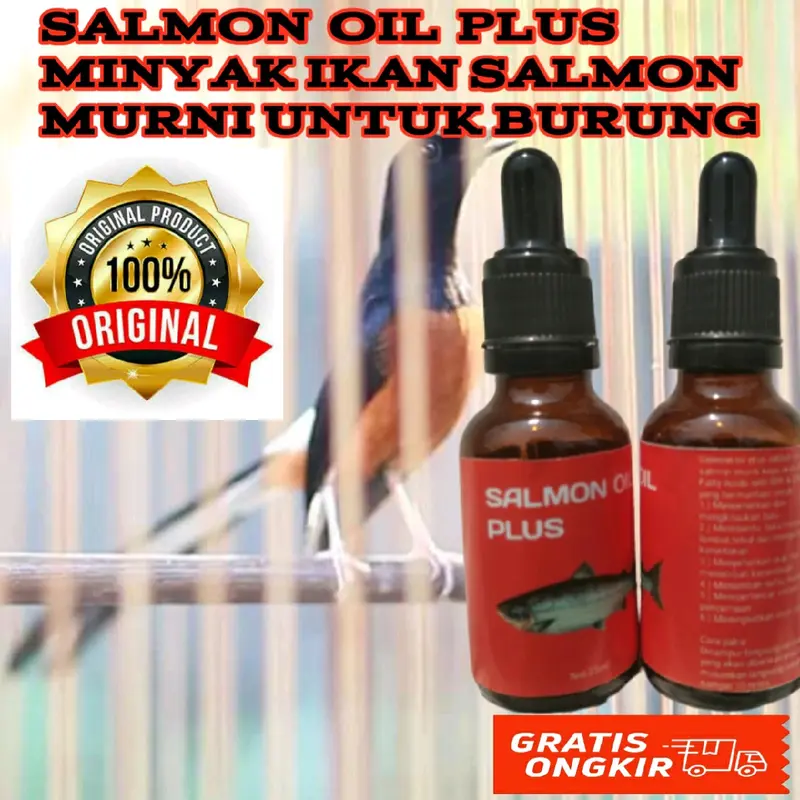 Penggacor Burung Minyak Ikan 7
