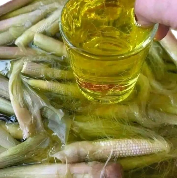 Sinh tố men lá Ngô Bao tử 5L+1L 0