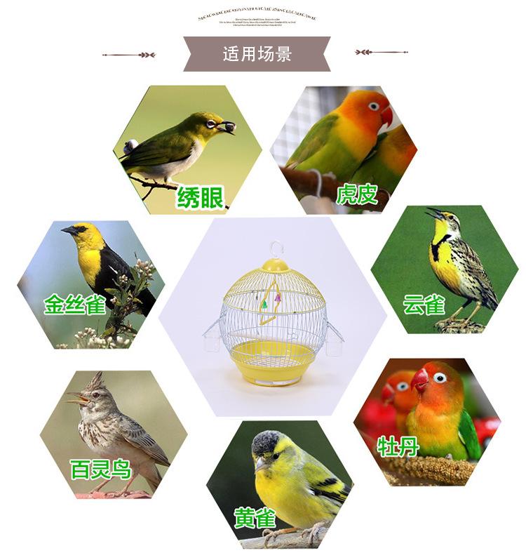 Product Introduction of Dayang Bird Cage, Round Ball Ornamental Wire Bird Cage, Bird's Nest, Eastern Cage, Parrot Cage, Starling Cage 4