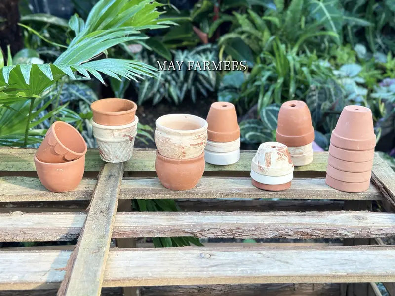 [ COMBO 119K ] COMBO Chậu Đất Nung Đồng Size Từ 6cm đến 7cm - Trồng Xương Rồng , Sen Đá... 0