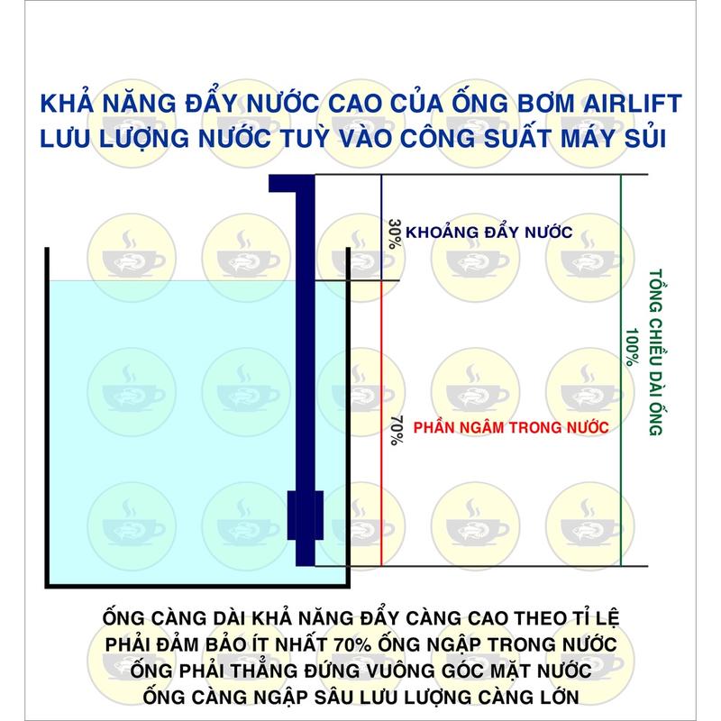 Ống bơm airlift, bơm nước bể cá bằng khí oxy, tự chế lọc vi sinh 2