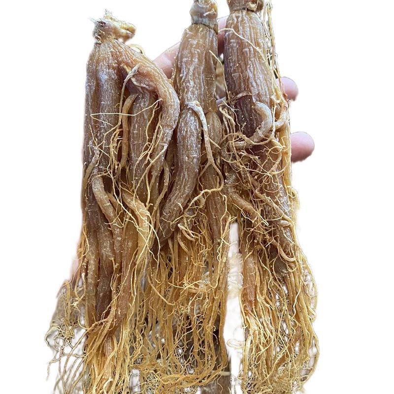 Nhân sâm ( Hồng Sâm) nguyên củ 200gram 4-5-6 củ ( đóng túi zip)