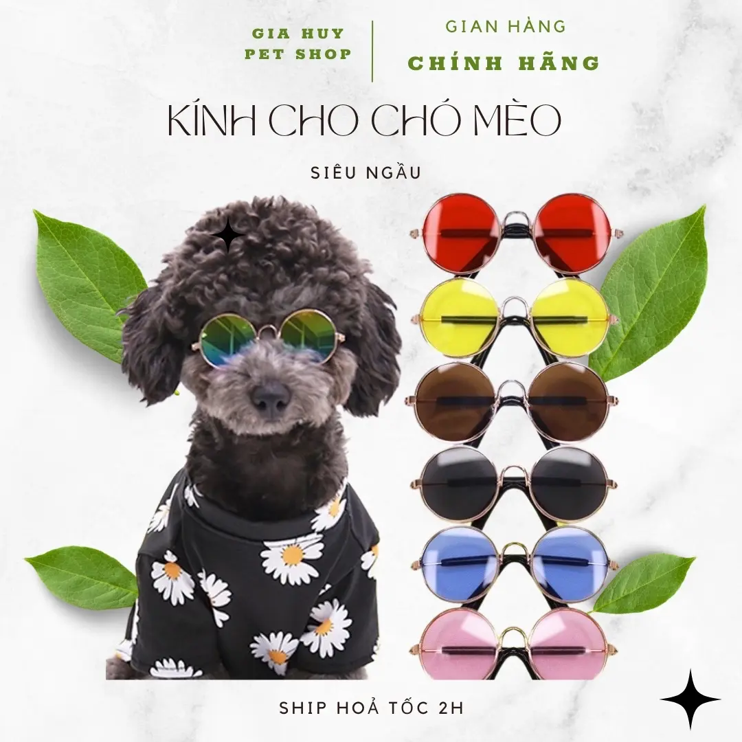 Kính Cho Chó Mèo, Kính Cho Chó, Kinh Cho Mèo, Kính Cho Thú Cưng giahuypetshop