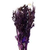 Gambar BUNGA WILDERY GRASS / BUNGA WILDERY DEKORASI HIASAN RUANG TAMU dari Hopedekorasi Kab. Sleman 5 Tokopedia