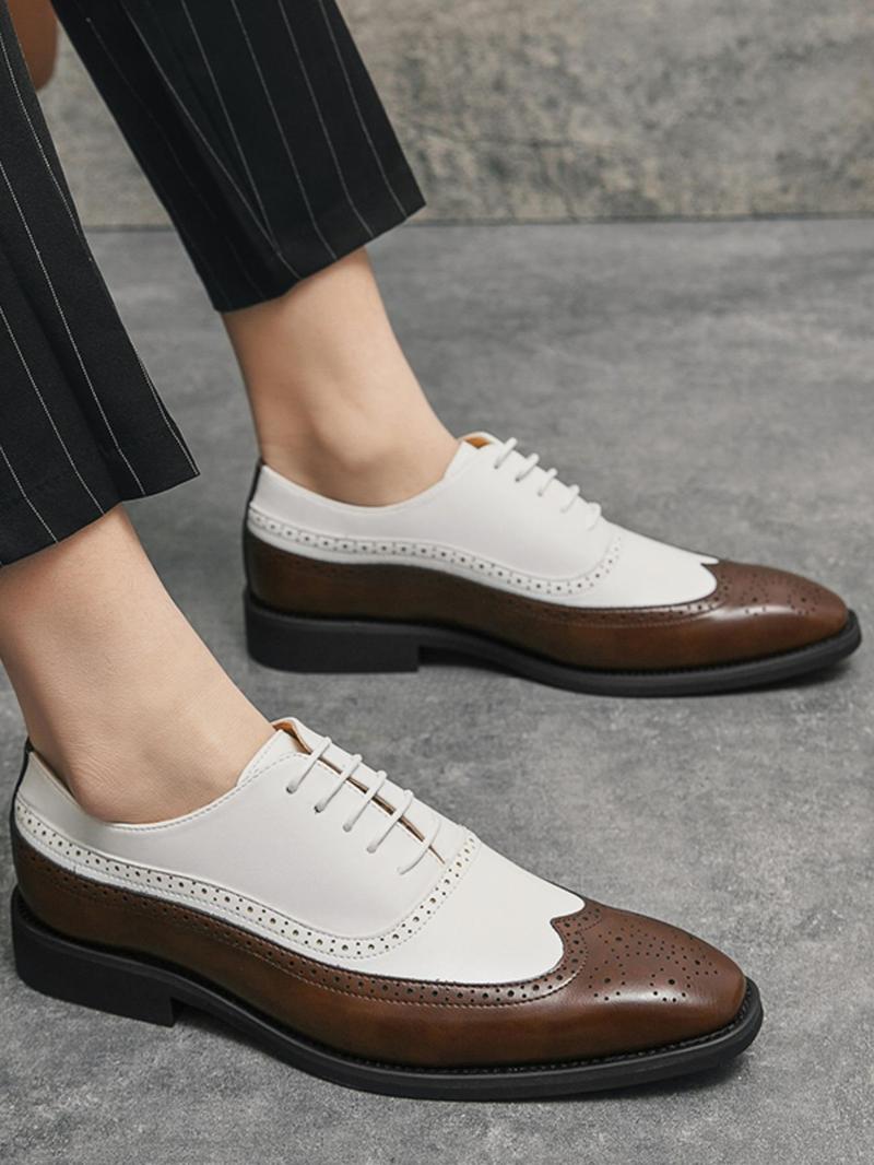 Product Introduction of Men's Fashionable Colorblock Lace Up Dress Shoes, Casual Comfortable Breathable Business Style Shoes for Work Office, Fashion Shoes for Party, Daily Clothing Decor 8
