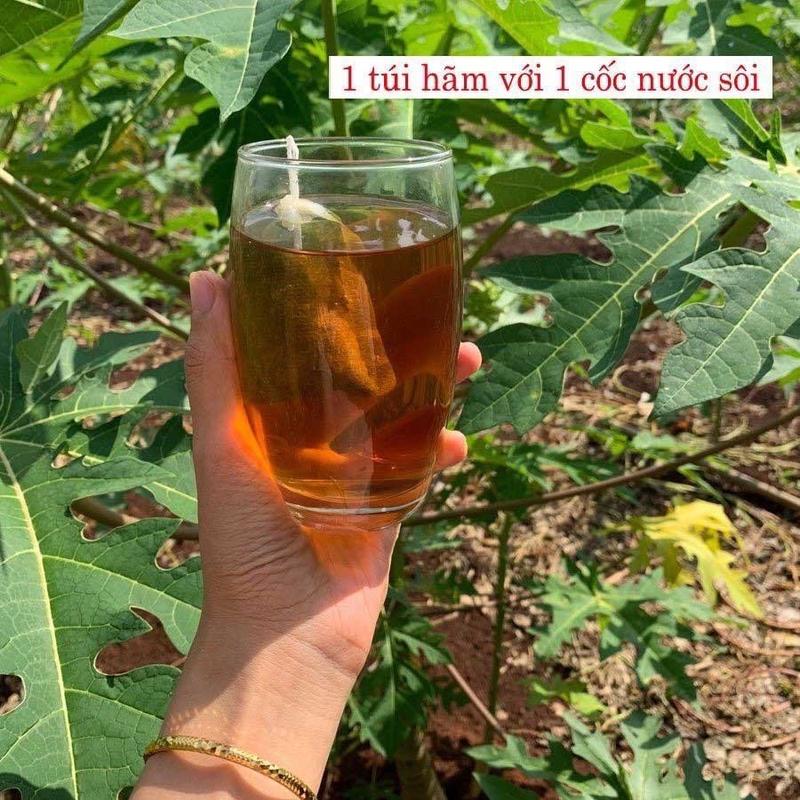Trà túi lọc đu đủ đực - trinh nữ hoàng cung - xạ đen dạng hộp 60 túi lọc 5
