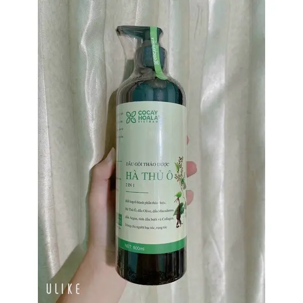 DẦU GỘI THẢO DƯỢC HÀ THỦ Ô mua hàng ở đây
