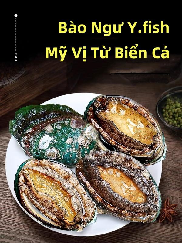 [YFISH - GIAO 2H]Bào ngư sống đông lạnh Hải sản Y.Fish Food hộp vn