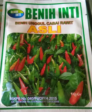 Benih Cabe Rawit Asli 10 gram Benih Inti
