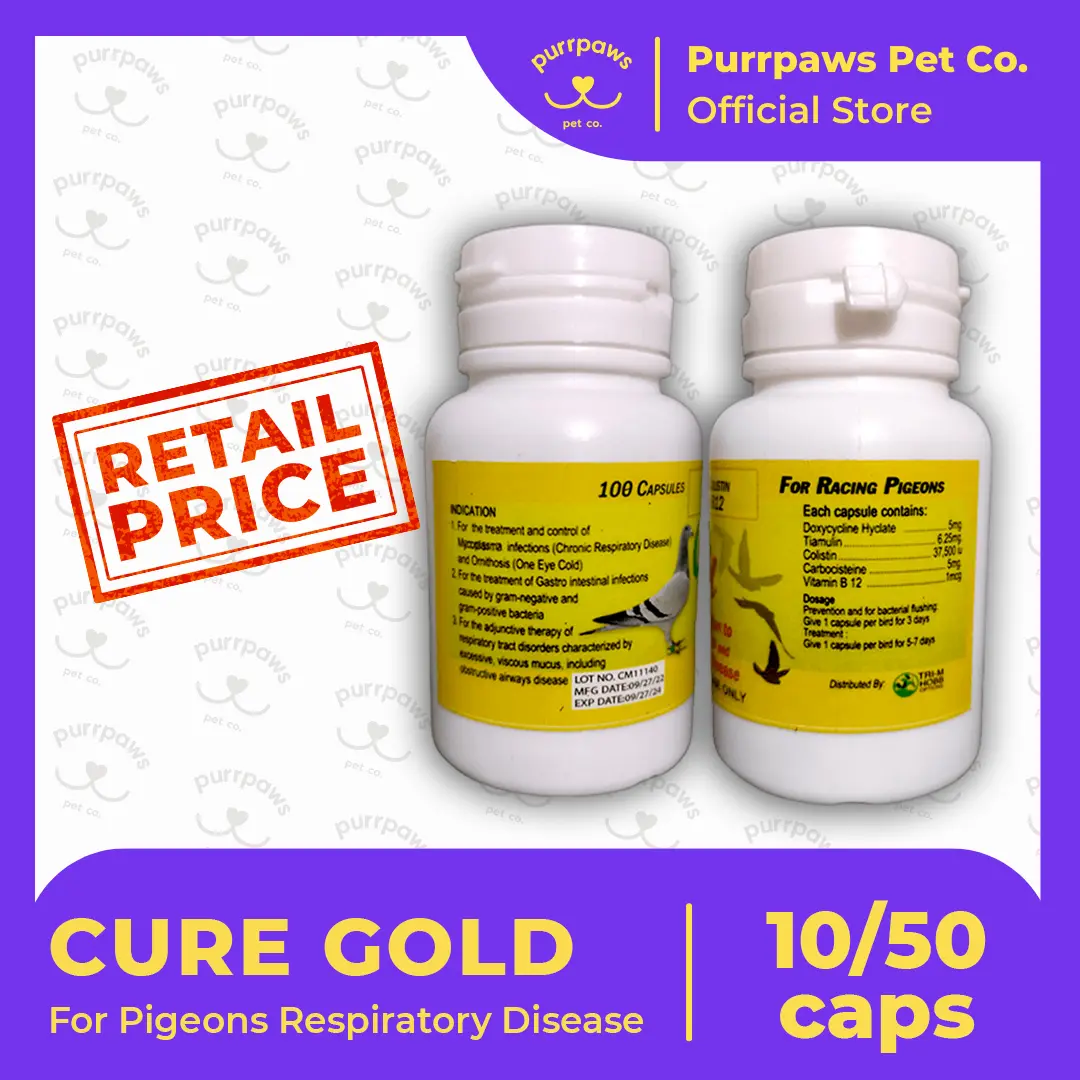 CURE GOLD for Racing Pigeons (10/50 capsules) - TikTok Shop Philippines