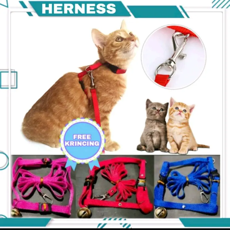 Harnes n leash tali tuntun kucing anjing musang GRATIS krincingan 20mm 0