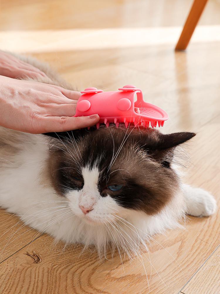 Product Introduction of Multifunctional Cat Scratching Tool Pet Scratching Tool Silicone Cat Toy Scratching Corner Table Strap Toys Cats Pet Toy 15