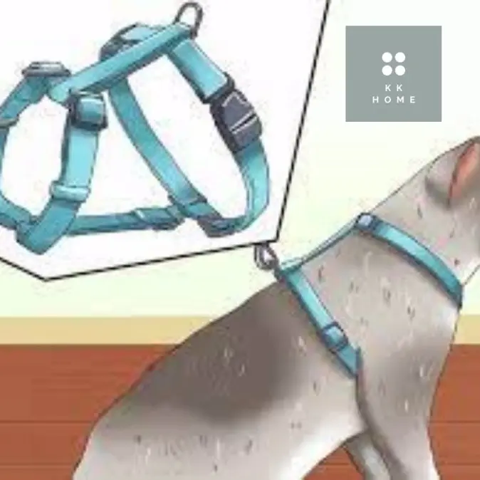Tali Tuntun Kucing Harness 125cm 3
