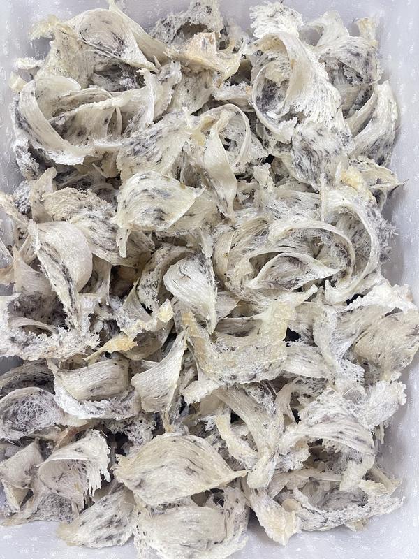5 Tai Yến Thô - Chất lượng nguyên chất, dinh dưỡng cao yến  thô 2