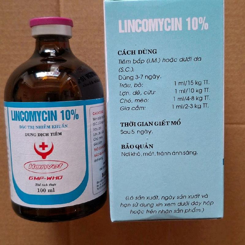 Lincomycin 10% đặc trị nhiễm khuẩn, viêm sưng khớp, viêm phổi, hen suyễn, crd cho gà, lợn, chó, mèo (100ml) 3