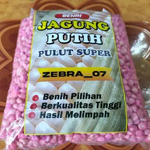 1 KG BENIH JAGUNG KETAN PUTIH PULUT tanaman melon bibit sayuran hi drop bau kacang benih padi benih kacang panjang kelengkeng merah saffron Buah Cabai Rumput jeruk durian mangga fresh flower caladium alpukat bunga barley Labu Jepang bawang mutiara Hias ke