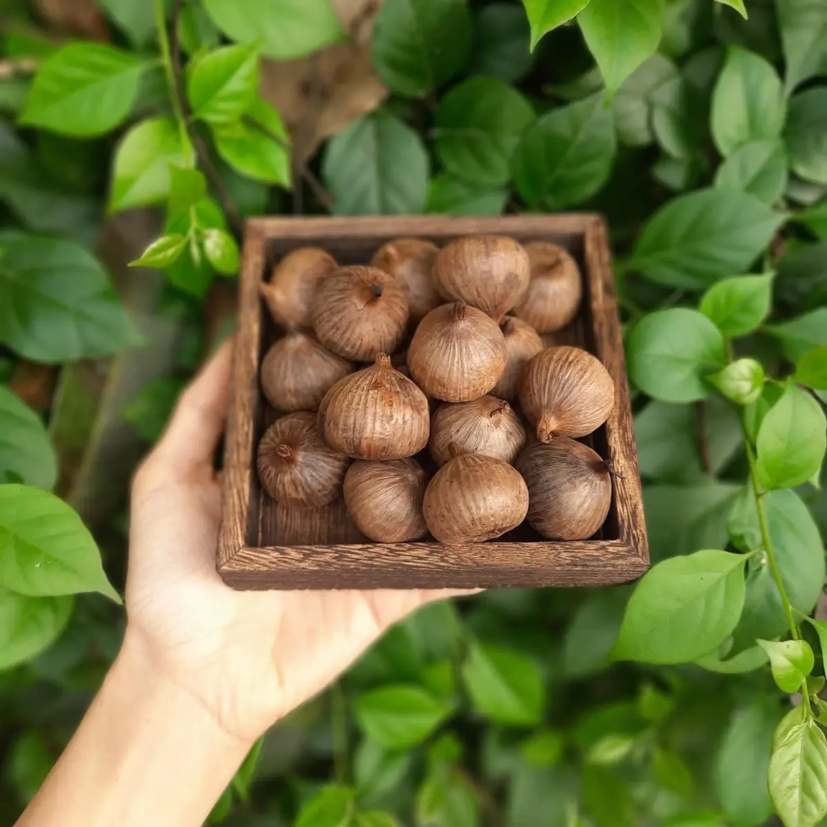 Com Bo tỏi đen cô đơn (lọ 500gr)