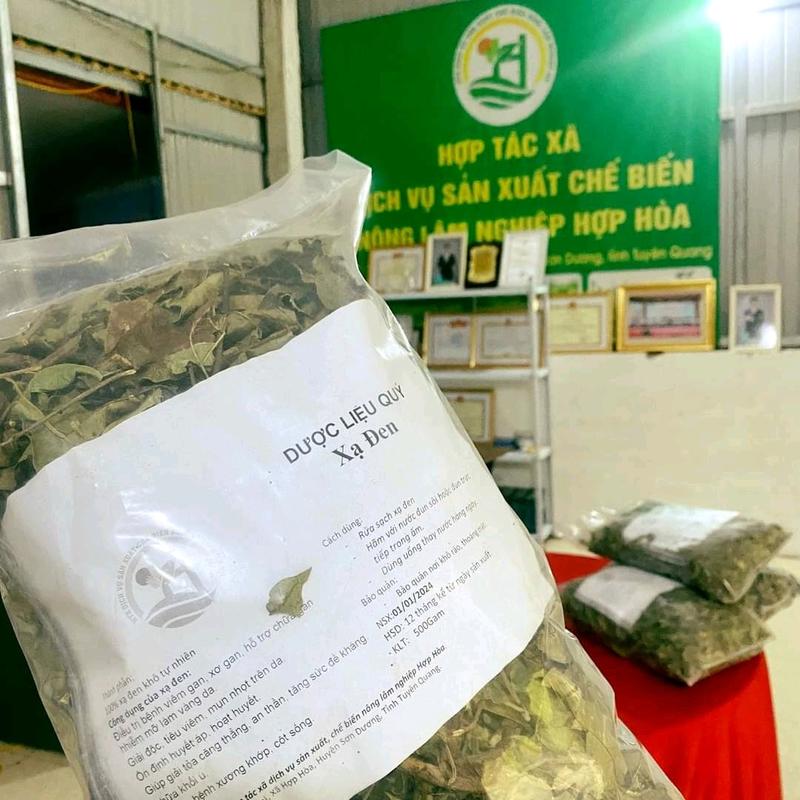 1kg Xạ Đen khô hàng sạch đẹp chuẩn loại 1 từ vùng núi Tam Đảo Tuyên Quang 3