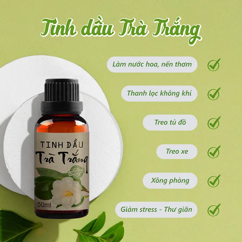 Tinh dầu trà trắng xông thơm phòng, khử mùi, giúp không gian mát mẻ trong lành 1