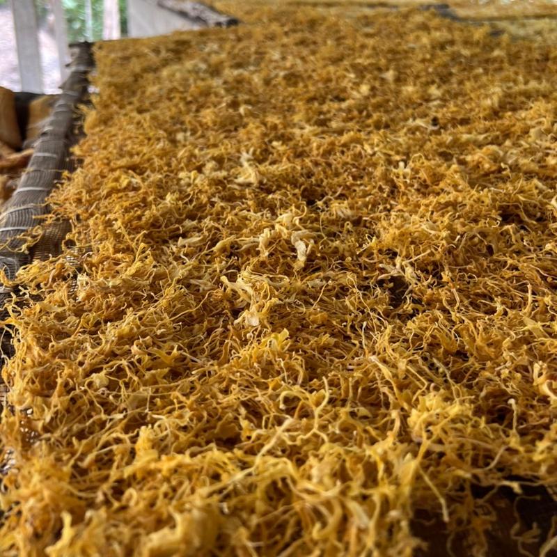 Măng Rối Sợi Khô Non ( RỐI LÁ) gói từ 500g đến 1kg Food Thức Ăn