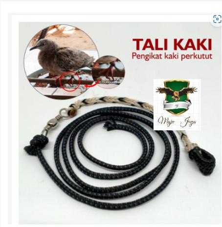 TALI KAKI BURUNG TEKUKUR TALI PAUT DERKUKU PUTER TALI IKAT LATIH TRAINING 0