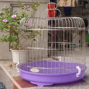 phụ kiện cu gáy