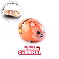 Gambar Okiedog Magnetic Carnimal - Mobil Mainan Magnet Anak - KOALA dari Tosyen Okiedog Kota Administrasi Jakarta Utara 3 Tokopedia