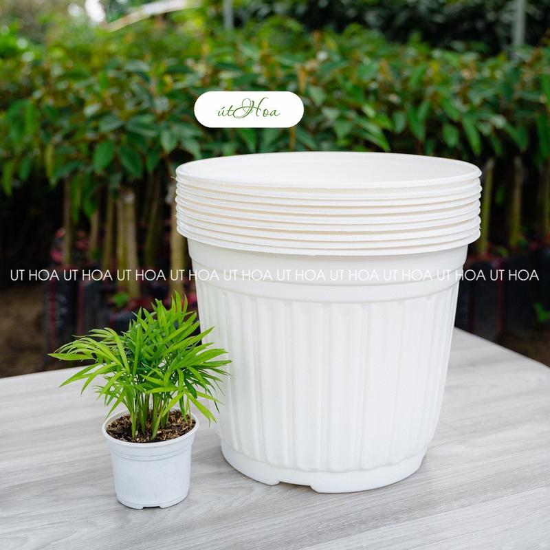 20 cái chậu nhựa T28 (28x20.5 cm) trồng cây cỡ lớn