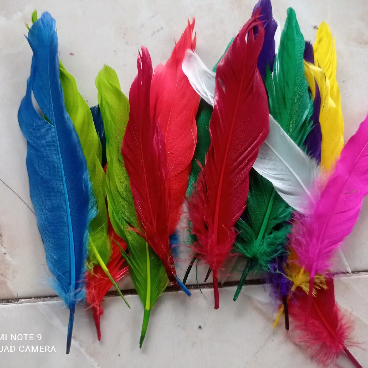 bulu angsa lembut warna pnjng 10 _13 cm 100 helai