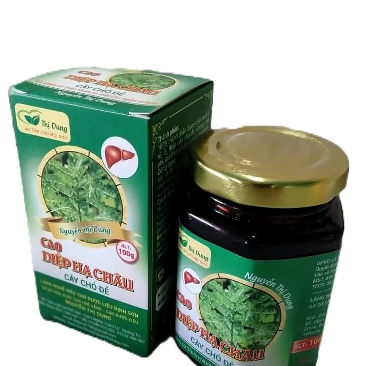 Cao Diệp Hạ Châu Nguyễn Thị Dung - 200g - Đạt Tiêu Chuẩn GMP, HACCP, ISO, ATTP 1