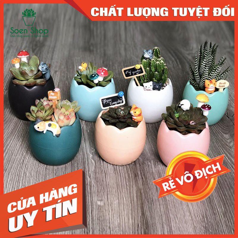  Chậu sứ trồng cây sen đá xương rồng - Chậu trứng - Nhiều màu   Nhập SOENSALE5 để được giảm 5k hóa đơn 50k  