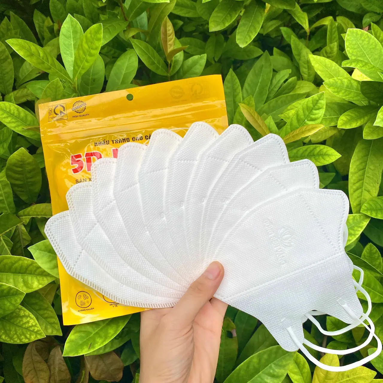 10 PCs pack Golden Lotus 5D mask Healthcare Cotton
