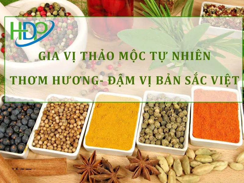 Combo gia vị vua đầu bếp HDP FOODS - Thơm ngon - Tiện lợi, Cay 1