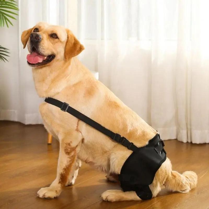 Practical Joint Injury Recovery Pet Knee Pad Knee Hip Joint Protect Torn Hind Leg Legs Protector Cloth 4Size Support Belt Pet 4
