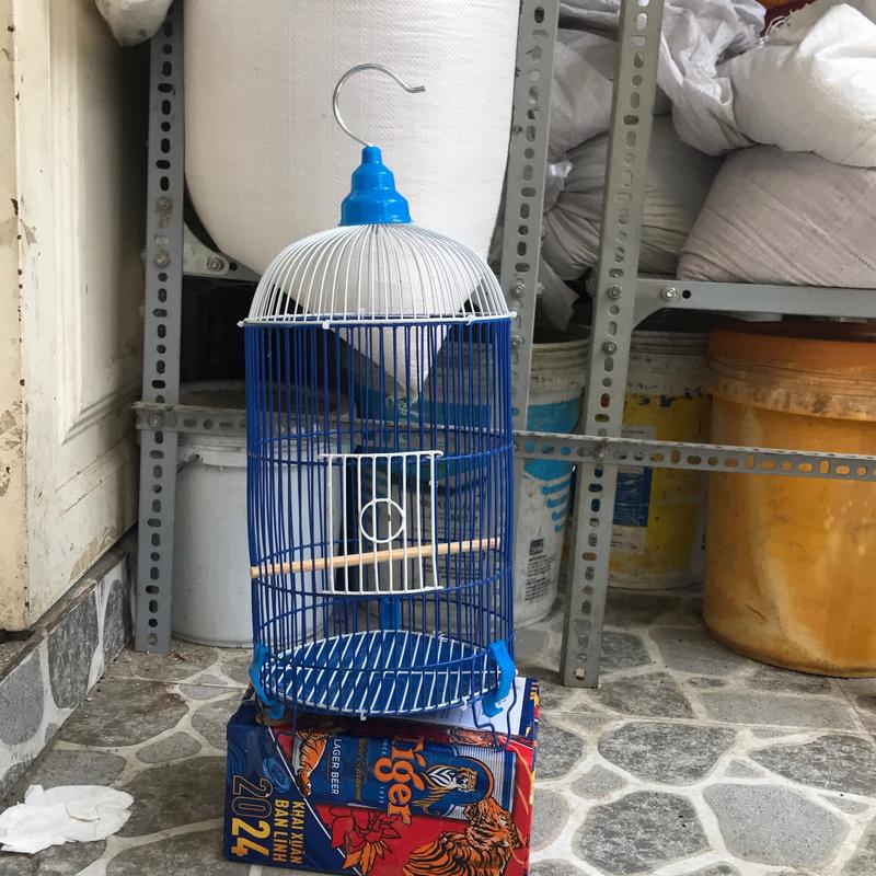 COMBO 5 lồng nhúng nhựa  dành cho hút mật , ốc mít chim khuyên