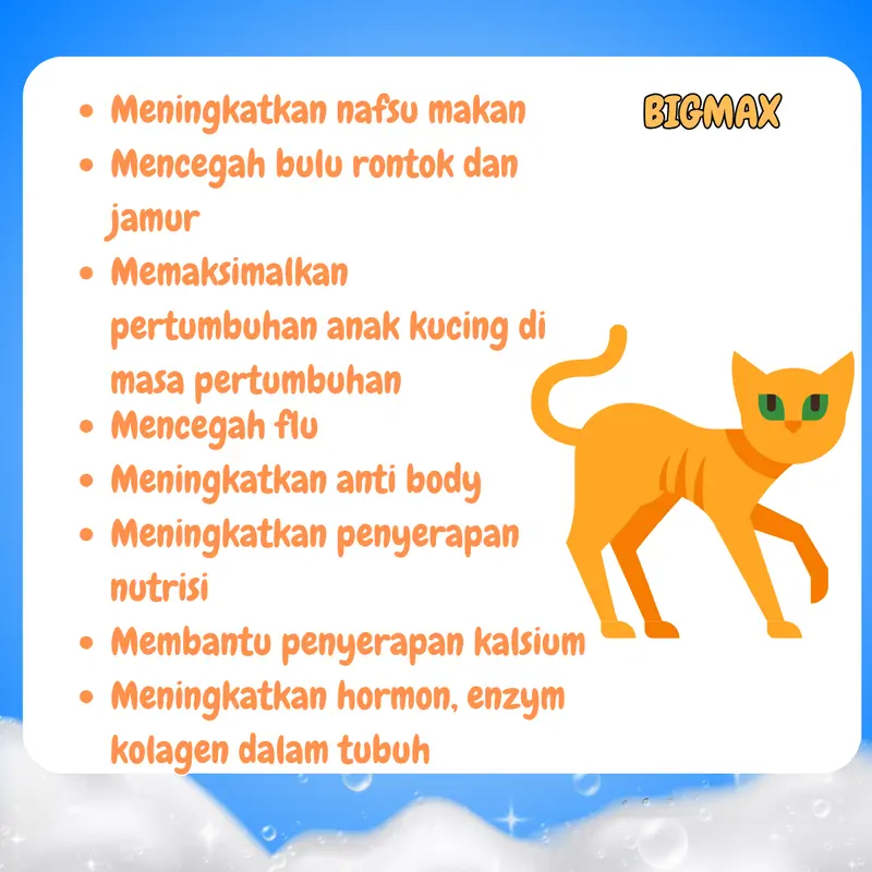 VITAMIN KUCING NAFSU MAKAN PENGGEMUK BULU RONTOK KUCING ANTIBODY KUCING BIAR GEMUK PENAMBAH NAFSU MAKAN KUCING CEGAH RONTOK BULU KUSAM JAMURAN MAX VIT ROYAL CARE BIG CAT BABAH CAT HOUSE CLEVER SOLUTION CUTE CAT perawatan bulu & kulit bisa dikunyah 1