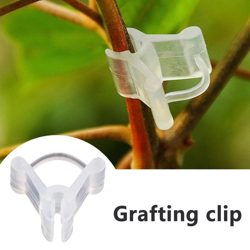Product Introduction of Kẹp Ghép Cây, Có Thể Tái Sử Dụng, Dụng Cụ Cố Định Hỗ Trợ, Trong Suốt, Thích Hợp Cho Cây Dâu Tây, Hạt Giống Rau Củ, Cà Chua 17
